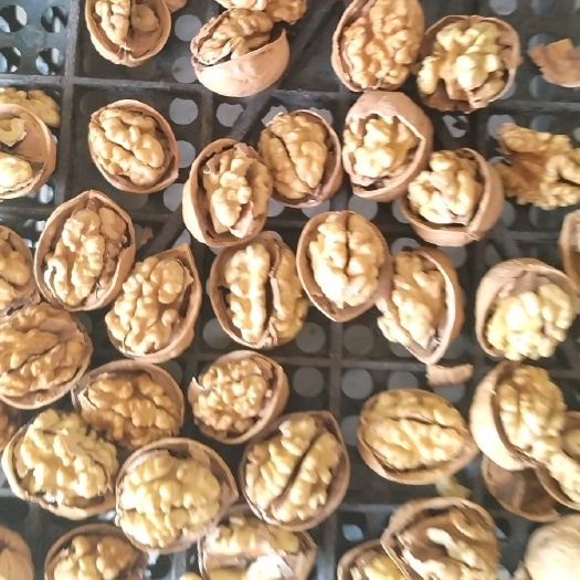 阿克苏市产地直发包邮，炒核桃（五香和奶香味）