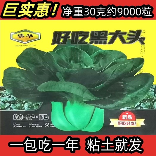 长沙好吃黑大头上海青青梗菜种子黑叶油菜籽阳台盆栽四季播蔬菜种