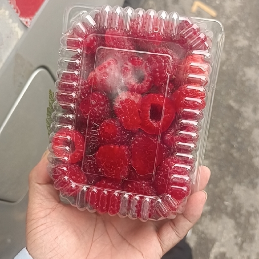 临洮县树莓