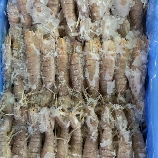 北海北海船冻皮皮虾规格M号L号LL号 库存只有两万件 价格很有