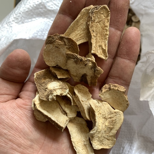 石家庄白术一年统货样品专拍（不包邮）