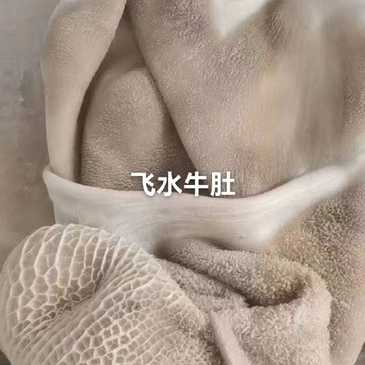 汕头飞水牛肚
