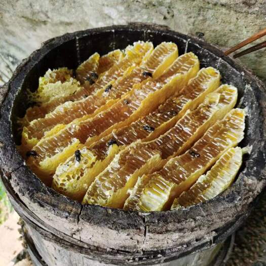 石柱重庆高山土蜂蜜