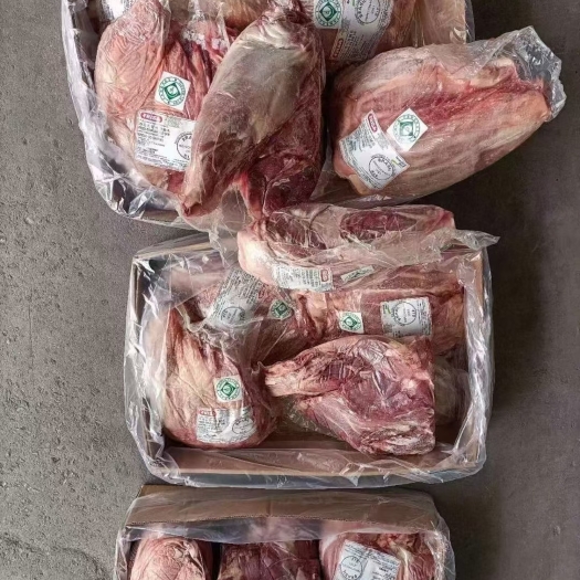 济南巴西2051前腱