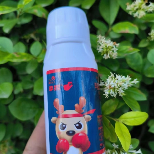 夏邑县杀蓟马抗性蓟马速溶杀虫剂蔬菜豆角草莓茄子水稻瓜果葱西花