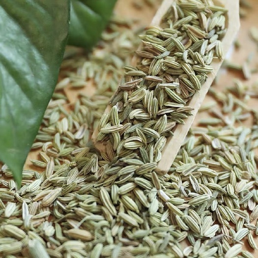 张掖甘肃茴香，粒大饱满
