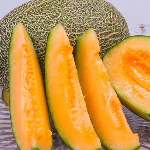 太康县批发精品哈密瓜