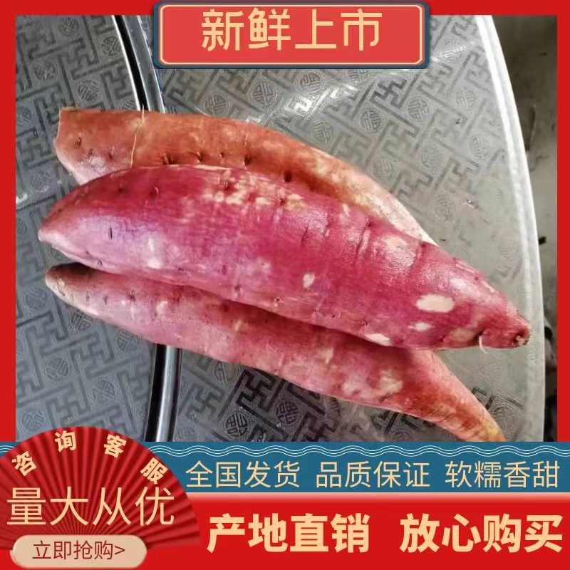 纯沙土地的西瓜红红薯大量上市，量大从优，真正一手货源