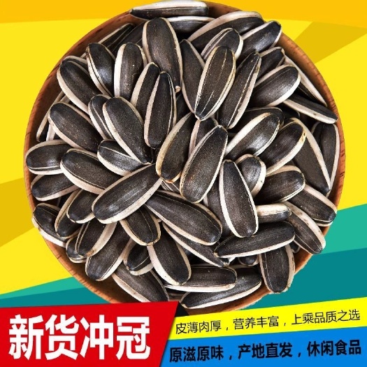 内蒙古呼伦贝尔优质葵瓜子 新鲜天然 绿色健康 干果零食批发