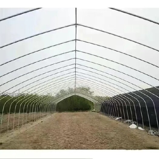 沭阳县温室大棚暖棚冷棚连栋棚