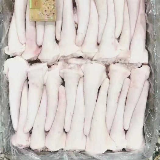 长沙猪短尾