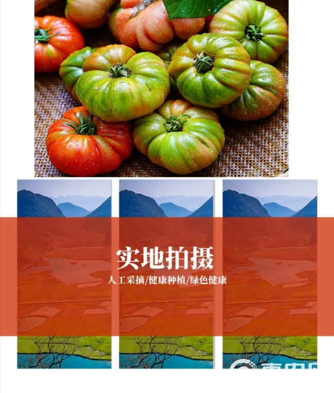 云南自然成熟老品种西红柿