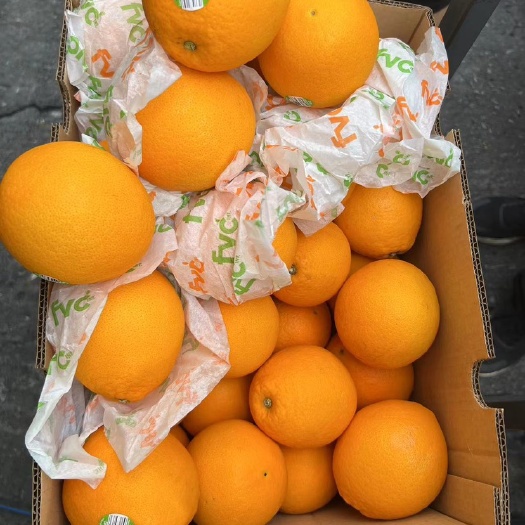 广州南非橙  夏橙 南非甜橙 蜜奈橙 切片榨汁专用橙子