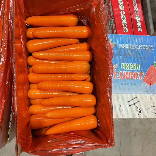 寿光市精品通货水洗胡萝卜新鲜上市产地货源电商社区团购赶集商超