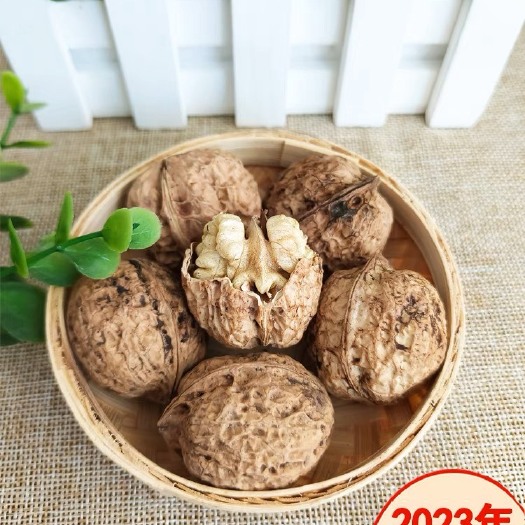 保山薄皮核桃山核桃2023新货云南纸皮新鲜丑核桃办公室核桃5斤装