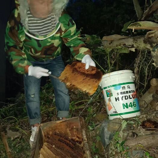 靖西市家养的正宗纯百花蜜，不喂白糖！我们蜂蜜是扶贫互助合作社
