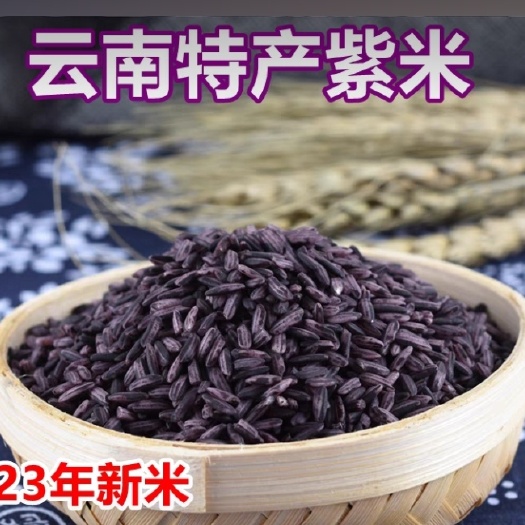 上海云南紫米墨江紫米新米紫糯米云南特产长粒血糯米