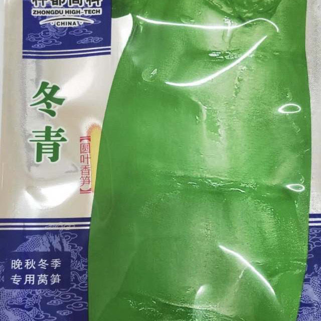 種都圓葉萵筍萵苣菜香筍種子秋冬豐產耐寒蔬菜種子籽批發(fā)三青玉