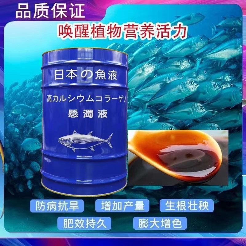 劲仔食物 2024 年报剖析：健康化战略下的途径深耕与职业包围
