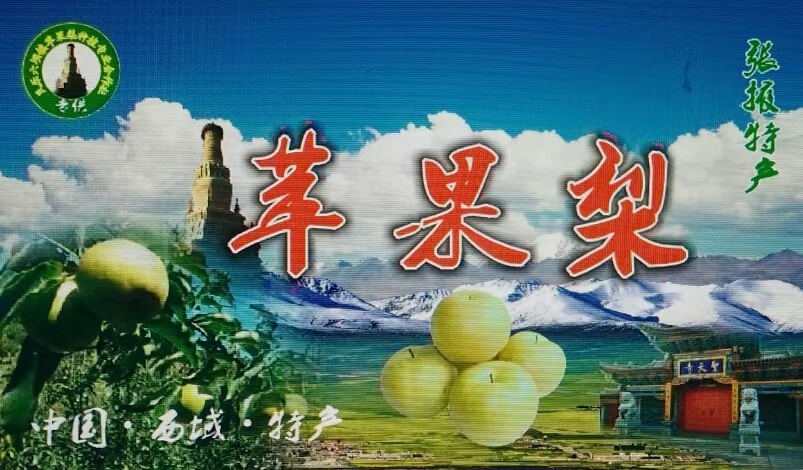 民乐县民乐六坝苹果梨基地，苹果梨大量下树上市，欢迎新老客户订购下单