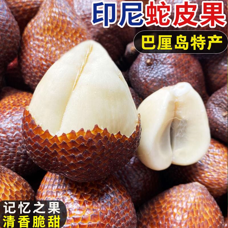 上海【电商一件代发】印尼蛇皮果新奇特稀奇古怪水果
