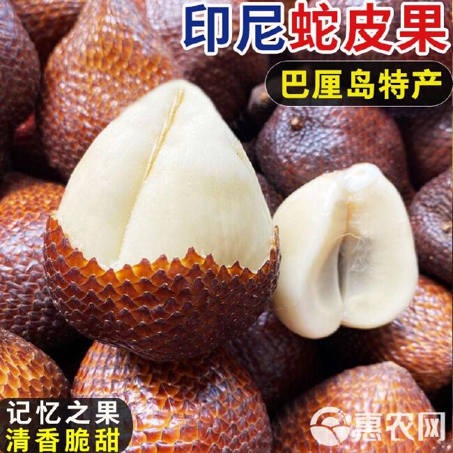 【电商一件代发，量大从优】印尼蛇皮果新奇特稀奇古怪水果