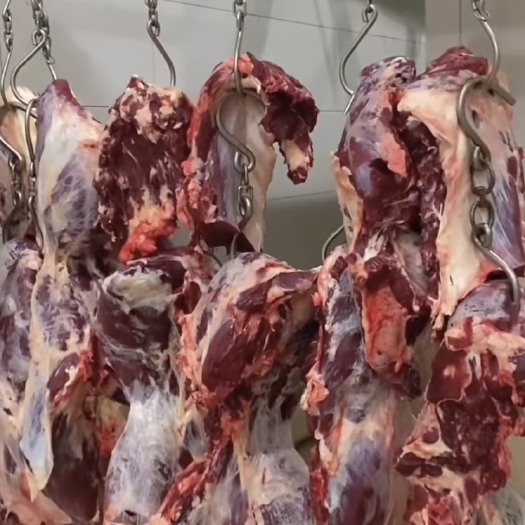 文水县国产牛肉 纯干牛肉 牛腩 牛后腿