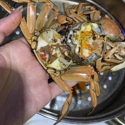 1.5 母蟹，公蟹2.0   嘎嘎肥货，顶盖肥