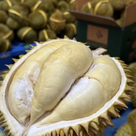 成都泰国金枕榴莲一个2-3斤装69元，支持社区团购一件代发！