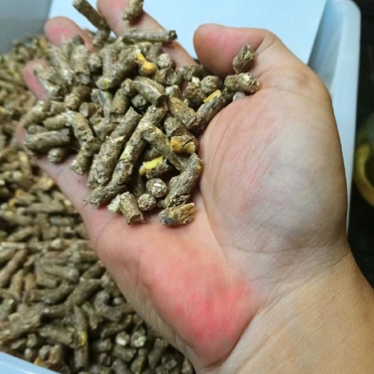 石家庄玉米颗粒料