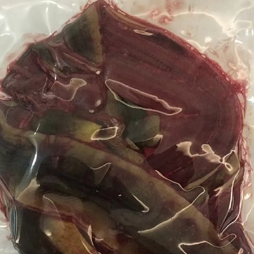 鳝鱼片，新鲜活杀鳝鱼，烫火锅，爆炒，煲汤，原汁原味，拆袋即用