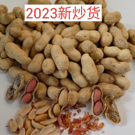大名县23年新货原味炒花生