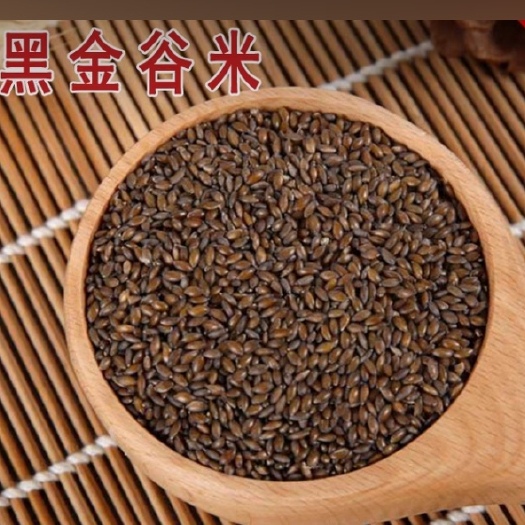 上海优质陕西黑金谷