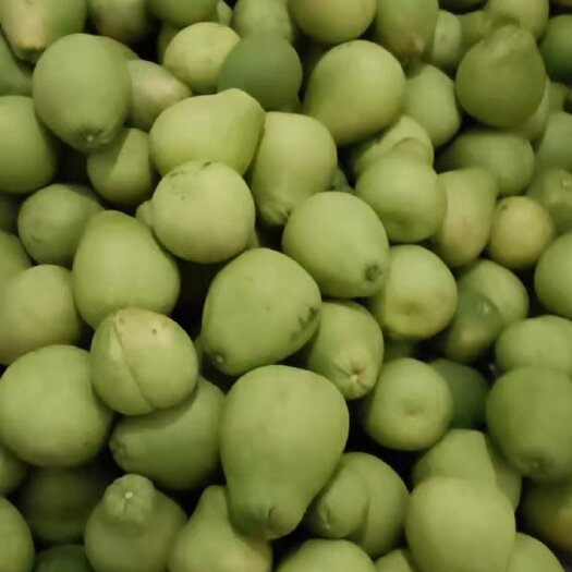 麻豆文旦柚农家自种大果1.5斤福建平和中秋国庆礼盒袋装
