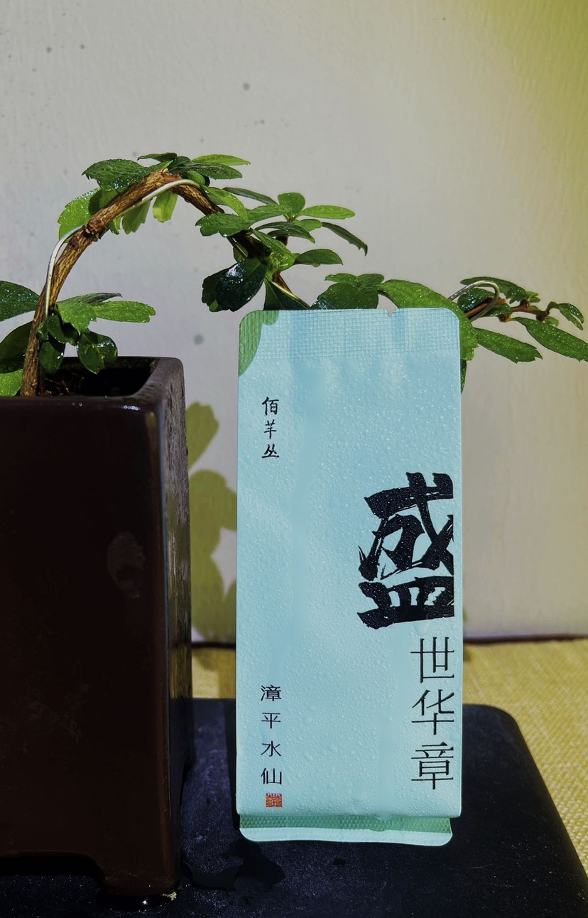 漳平水仙茶漳平水仙茶厂批发盛世叁号漳平水仙茶