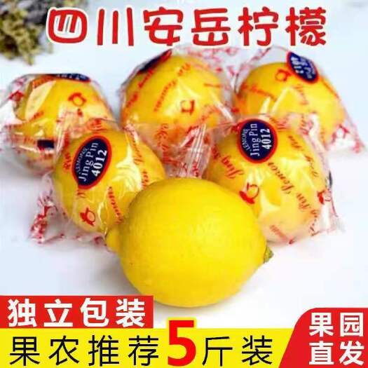 5斤四川安岳黄柠檬剥皮多汁泡水奶茶用大果装整箱批