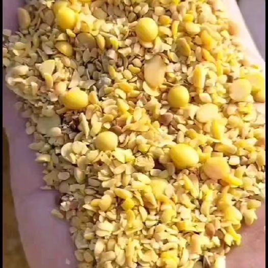 石家庄碎黄豆