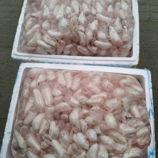 临沭县鱼泡