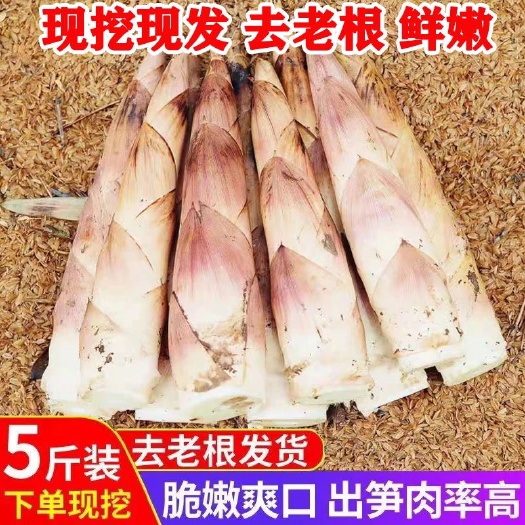 建瓯市福建新鲜现挖现发雷竹笋冬笋大中小笋毛竹笋