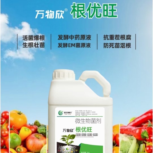 郑州生根快细根多，生根壮苗，抗耐重茬 提高肥料利用率，防早衰