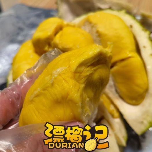 菏泽商用榴莲系列产品
