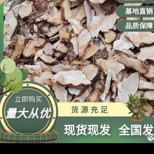钟山县新货上市，五指毛桃，货比价格更美丽