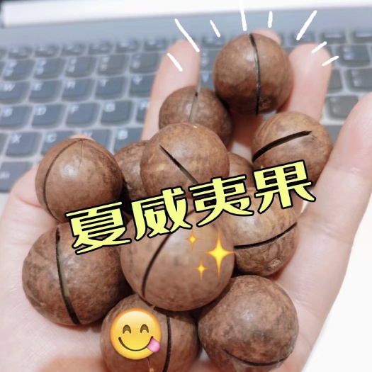 【夏威夷大果】夏威夷果新货奶油味坚果整件批发