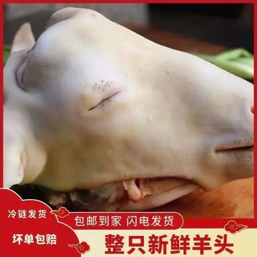 社旗县清真新鲜羊头整只头羊带皮冷冻生羊头整个带皮羊头生鲜羊头肉包邮