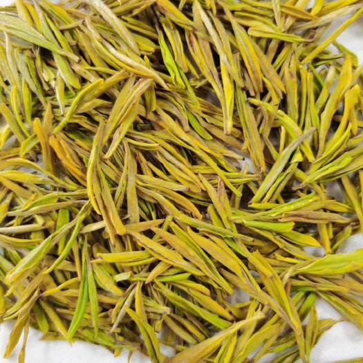 长兴县安吉黄金茶