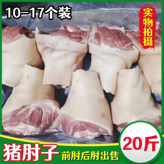 冷冻新鲜猪肘子生猪蹄膀猪后肘子猪前肘子20斤箱饭店餐馆食用