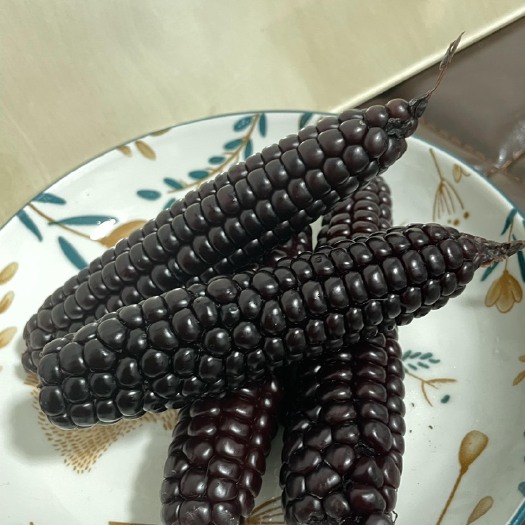 景洪市西双版纳紫糯拇指玉米AB级都有批发