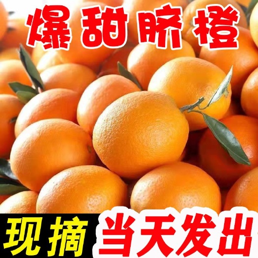 崇州市9.5斤新鲜脐橙子当季水果手剥冰糖甜橙非江西赣南的脐橙整箱批