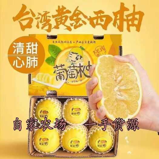 平和县黄金葡萄柚礼盒装新鲜当季新鲜水果现摘现发甜多汁西柚