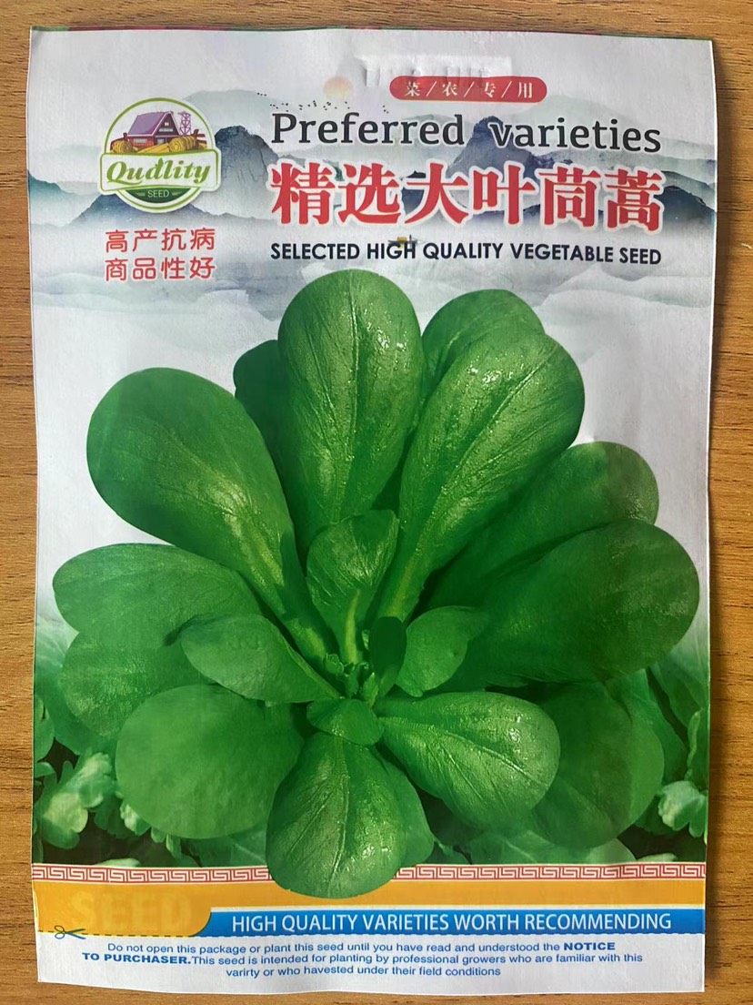 大叶茼蒿种子蔬菜籽四季种植蔬菜茼蒿菜蔬菜种子籽